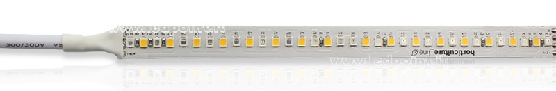 Ruban led 2835 24V IP65 GROW 204led/m Ruban led 2835 24V IP65 GROW 204led/m