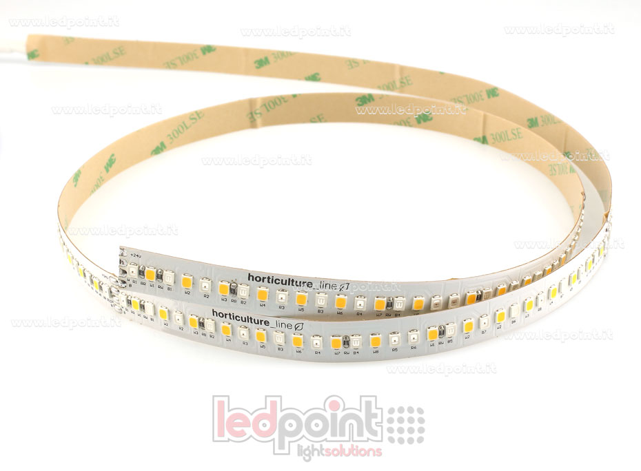 Ruban led 2835 24V IP65 GROW 204led/m