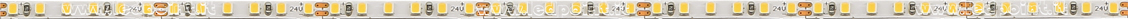 Ruban led 2216 24V IP20 3900-4250K 240led/m Ruban led 2216 24V IP20 3900-4250K 240led/m