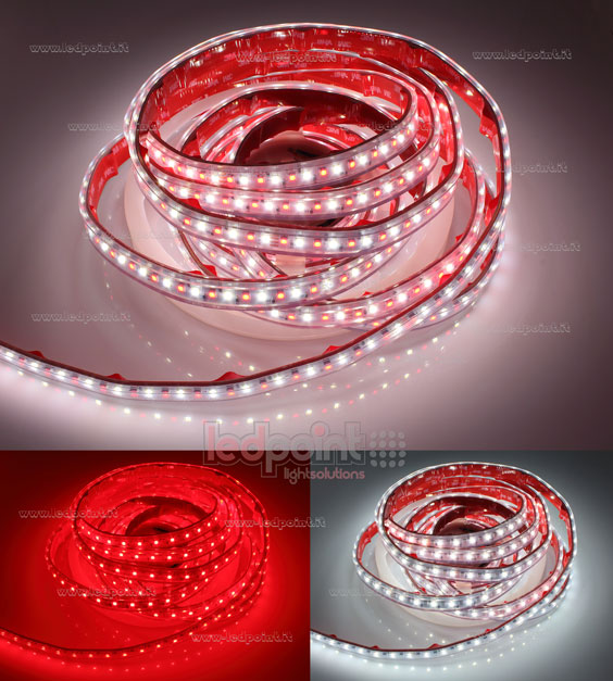 Ruban led 3838+2835 24V IP64 4000-4250K 140led/m K52-R400-140H12
Ruban led 3838+2835 24V IP64 4000-4250K 140led/m K52-R400-140H12