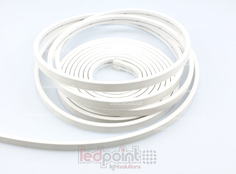 Ruban led 2025 24V IP67 460-465nm 264led/m