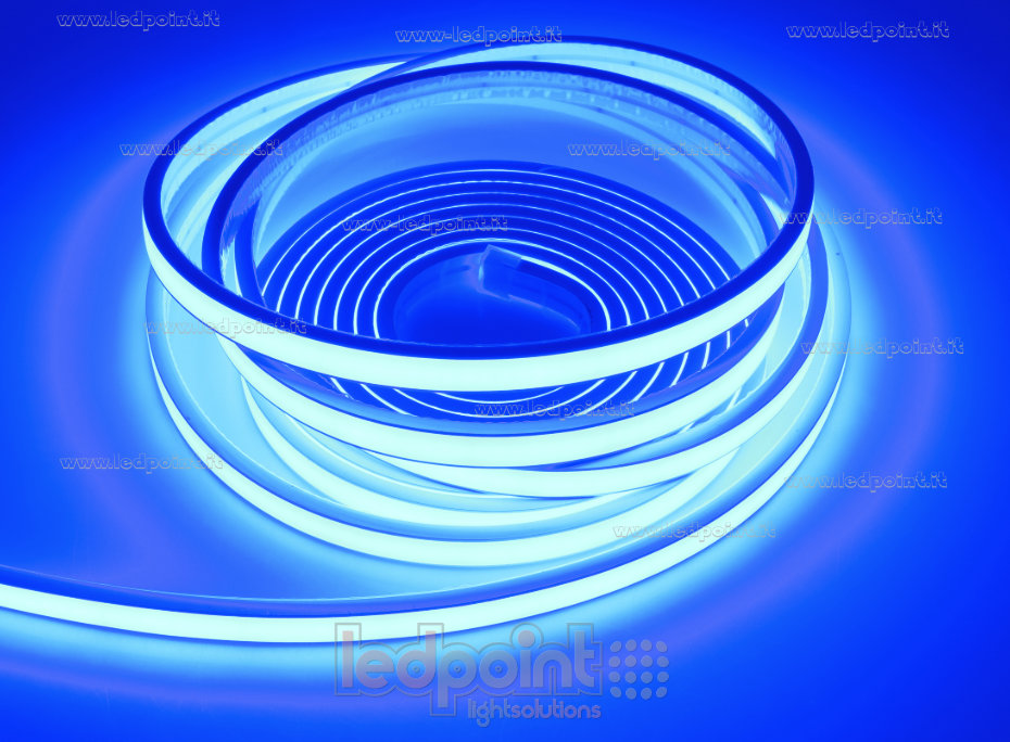 Ruban led 2025 24V IP67 460-465nm 264led/m