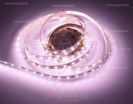 Image de Ruban led rose pour boucheries 5m 60leds/m 2835 24V 14,4W/m