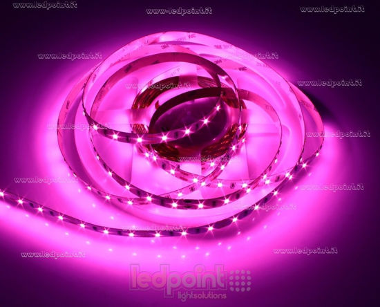 Image de Ruban led Rose 5m 60leds/m 2835 12V 7,2W/m