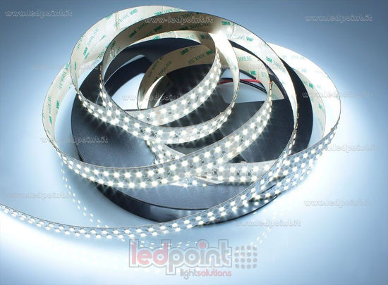Image de Ruban LED 5m Blanc froid 6000-6500K 252leds/m Honglitronic 2835 24V 45W/m
