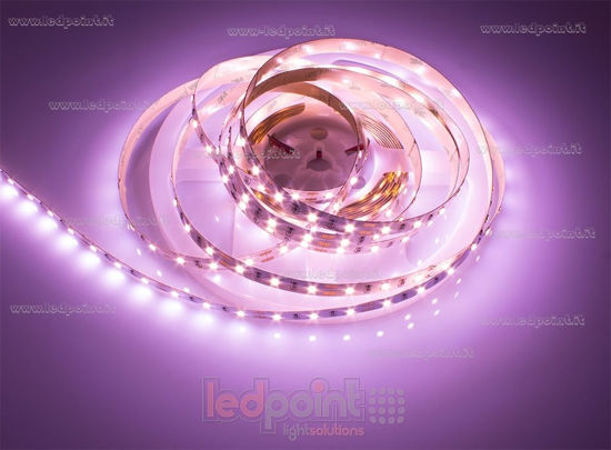 Image de Ruban led rose pour boucheries 5m 60leds/m 2835 12V 14,4W/m
