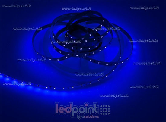 Image de Ruban led 5m UV 380nm 2835 60led/m, 24V 13,3W/m
