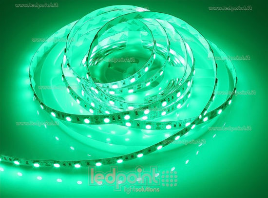 Ledpoint S.r.l. | Vert led bande 5m 5050 60led/m 12V
