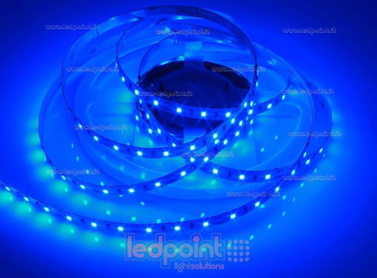 Image de Ruban led Bleu 5m 60leds/m 2835 12V 14,4W/m