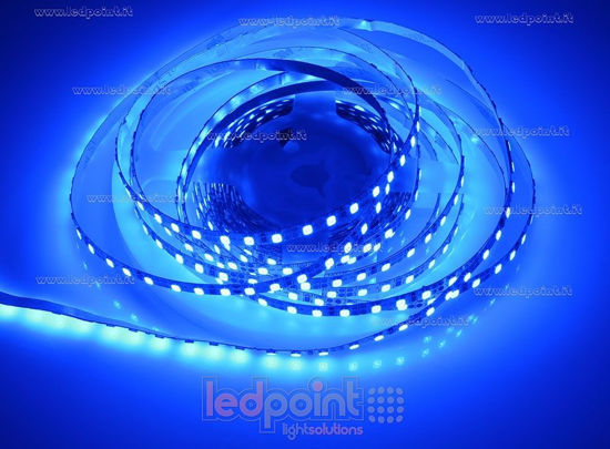 Image de Ruban led Bleu 5m 120leds/m 2835 12V 10W/m, PCB 5mm