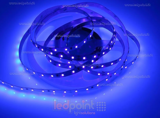 Image de Ruban led 5m violet 2835 60led/m 24V 14,4W/m