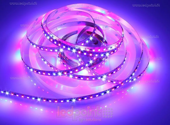 Image de Ruban led 5m horticole 2835 120led/m 24V 24W/m avec stabilisateur de courant