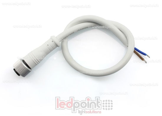 Image de Connecteur femelle 2pin IP67 0,3m