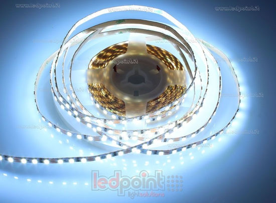 Image de Ruban led 5m blanc froid 6000-6500K 2835 120led/m Honglitronic 12V 10W/m, PCB 5mm