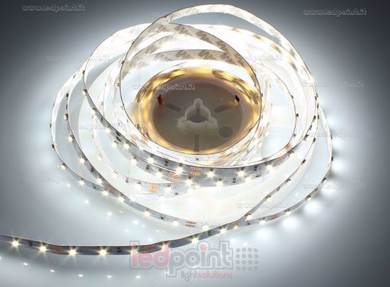 Image de Ruban led blanc 5m 4000-4500 3528 60leds/m  12V 4,8W/m adhésif blanc