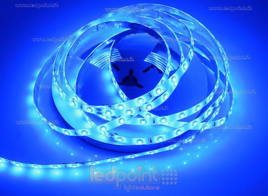 Image de Ruban led Bleu 5m 60leds/m IP53 (IP65) 3528 24V 4,8W/m