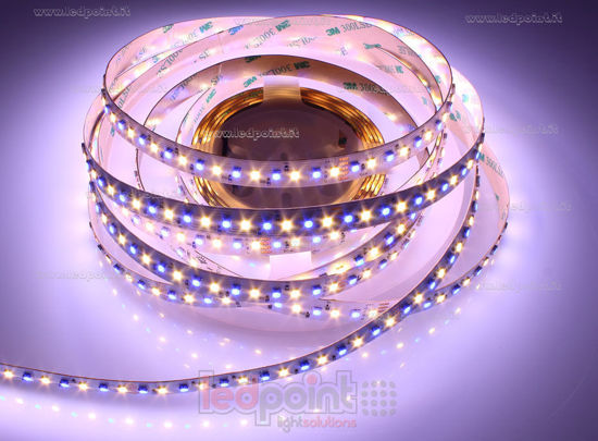 Image de Ruban led 5m 3838 RGB + blanc chaud 3000K 3step 2835 140led/m Honglitronic 24V 28,8W/m