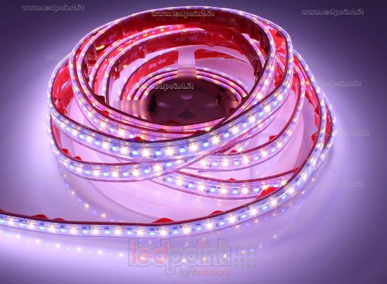 Image de Ruban led 5m 3838 RGB + blanc chaud 3000K 3step 2835 140led/m Honglitronic 24V 28,8W/m, IP65 tube en silicone extrudé, bords pleins et vide à l'interieur