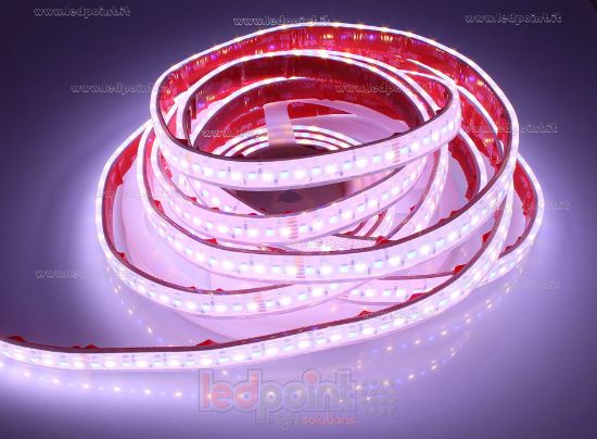 Image de Ruban led 5m 3838 RGB + blanc chaud 3000K 3step 2835 140led/m Honglitronic 24V 28,8W/m, IP67 silicone solide transparent