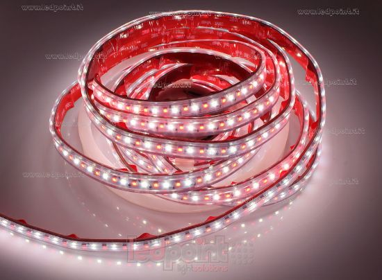 Image de Ruban led 5m 3838 RGB + blanc 4000K 3step 2835 140led/m Honglitronic 24V 28,8W/m, IP65 tube en silicone extrudé, bords pleins et vide à l'interieur