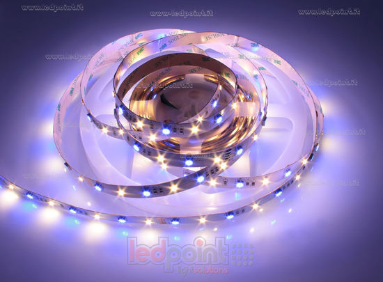 Image de Ruban led 5m 5050 RGB + Blanc chaud 3000K 3step 2835 56leds/m Honglitronic 24V 11,5W/m