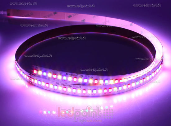Image de Ruban led horticulture,  5 m, blanc chaud 3000K + rouge + bleu 2835 IP65 parylene 204led/m 24V 28.8W/m
