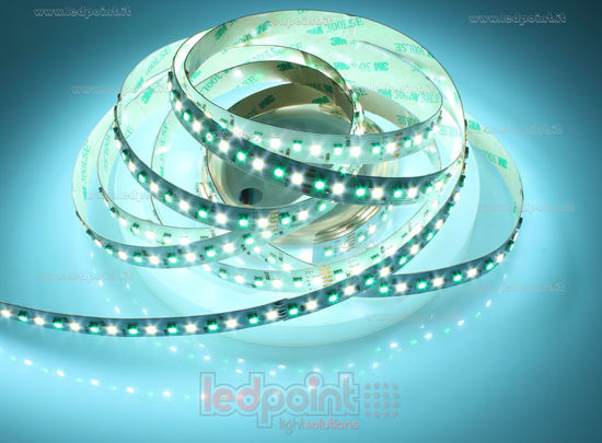 Image de Ruban led 5m 3838 RGB + blanc froid 6000K 3step 2835 140led/m Honglitronic 24V 28,8W/m
