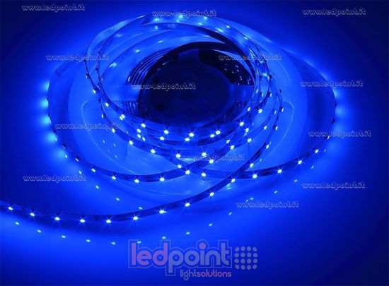 Image de Ruban led Bleu 5m 60leds/m Honglitronic 3528 12V 4,8W/m