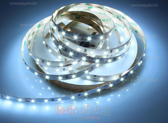 Image de Ruban Led blanc froid 5m 6000-6500K 2835 60led/m IP65 Parylene Honglitronic 24V 14,4W/m