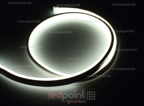 Image de Led Neon Flex 10mm blanc 2835 12V 9,6W 120led/m IP65 50m