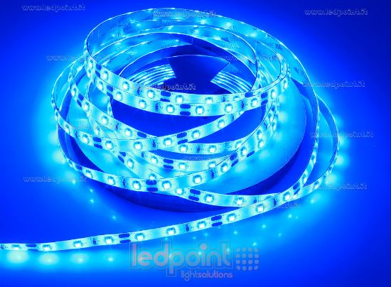 Image de Ruban led Bleu 5m 60leds/m IP53 (IP65) 3528 12V 4,8W/m