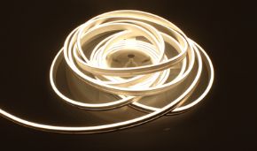 Image de la catégorie Neon Flex
