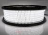 Image de Ruban led 50m led blanc 4000K 2835 120leds/m 230V 16,5W/m, IP65 tube en silicone extrudé, bords pleins et vide à l'interieur