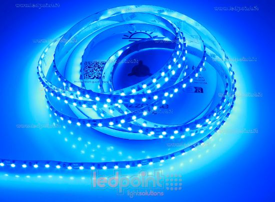 Image de Ruban led Bleu 5m 120leds/m 3528 24V 9,6W/m