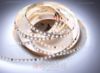 Image de Ruban led 5m matriçable CCT 3000-6500K 2835 120led/m 20 pixels/m 24V 13,3W/m