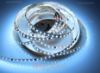 Image de Ruban led 5m matriçable CCT 3000-6500K 2835 120led/m 20 pixels/m 24V 13,3W/m