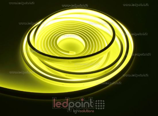 Image de Ruban led 5m jaune citron 2025 264leds/m 24V 12W/m, IP67 silicone solide blanche