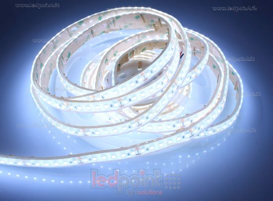 Image de Ruban led 5m led blanc 6000K  2835 Honglitronic 120 led/m 24V 14,4W/m, IP67 silicone solide transparent