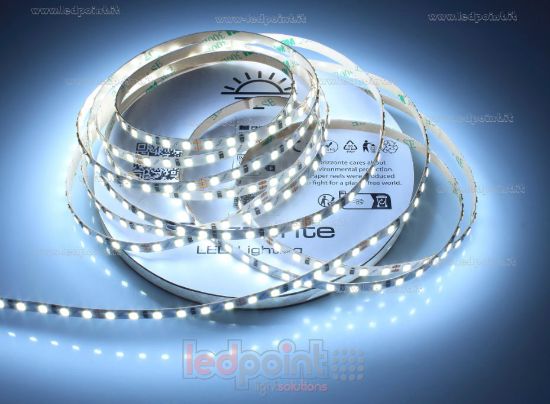 Image de Ruban led 5m blanc froid 6000-6500K 3step 2835 120led/m Honglitronic 24V 10W/m, PCB 5mm