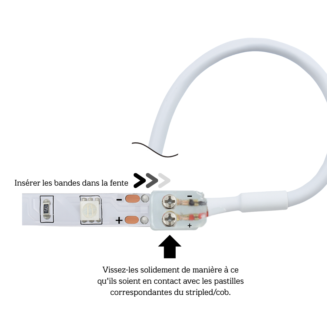 Connecteur pour 230V ruban led COB avec 20cm cable PCB 8mm CM-230-CCO-W20-8