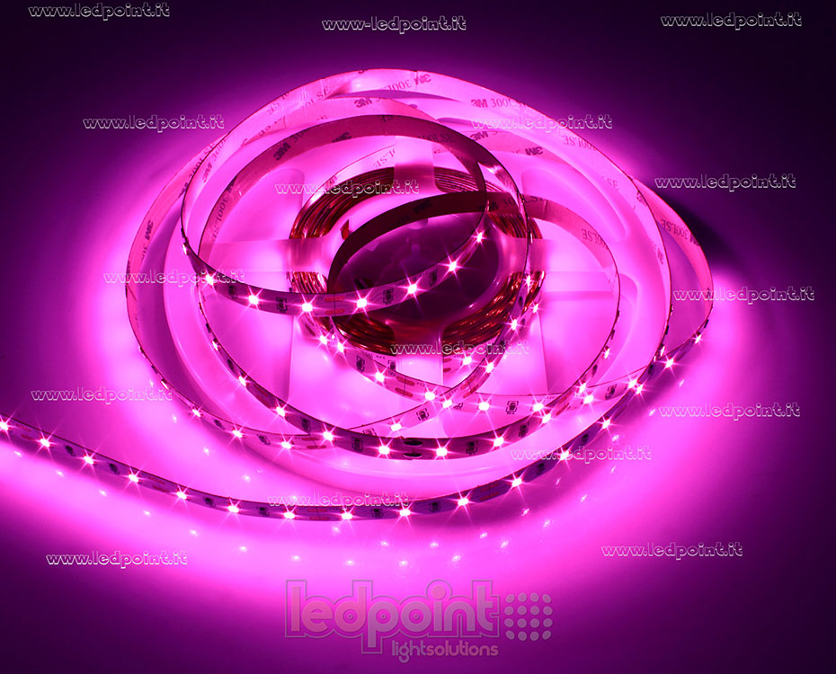 Ruban led 2835 12V IP20 - 60led/m F52-PNK-060811
 