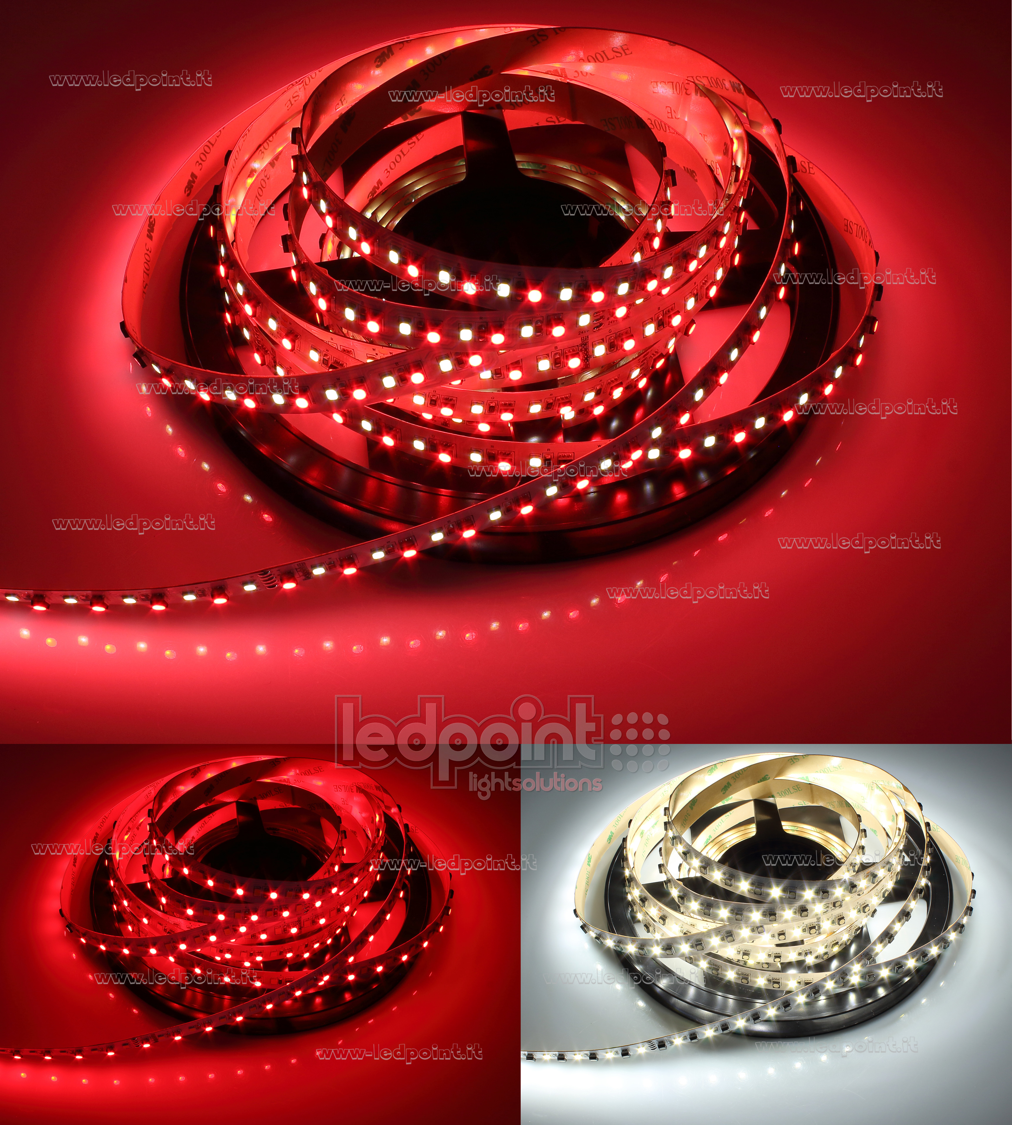 Ledpoint S.r.l. Ruban led 5m 3535 RGB + blanc naturel 4000K 2835