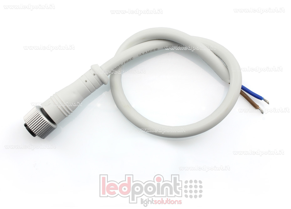 Connecteur femelle 2pin IP67 0,3m NEO11-CF2-WH Connecteur femelle 2pin IP67 0,3m NEO11-CF2-WH