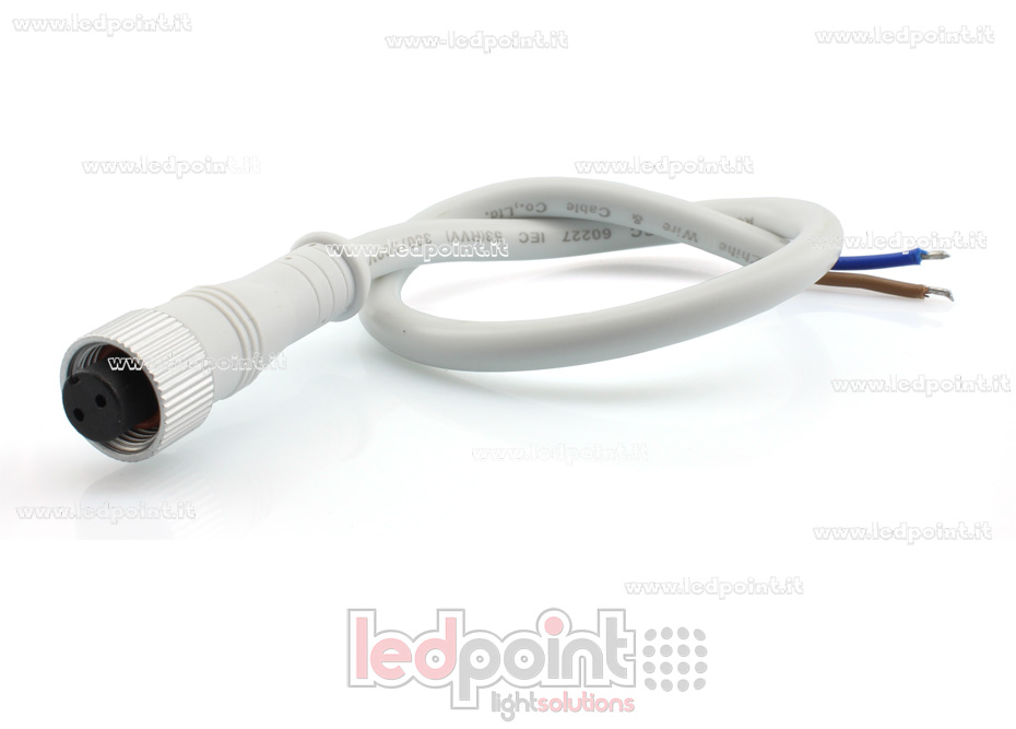 Connecteur femelle 2pin IP67 0,3m NEO11-CF2-WH Connecteur femelle 2pin IP67 0,3m NEO11-CF2-WH